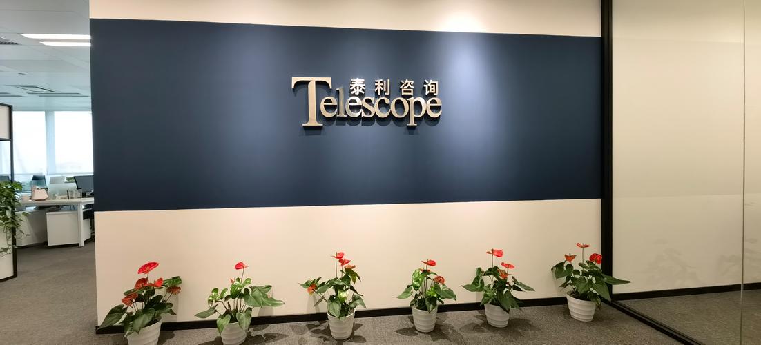 泰利企业管理咨询 解锁高效管理与可持续发展的钥匙
